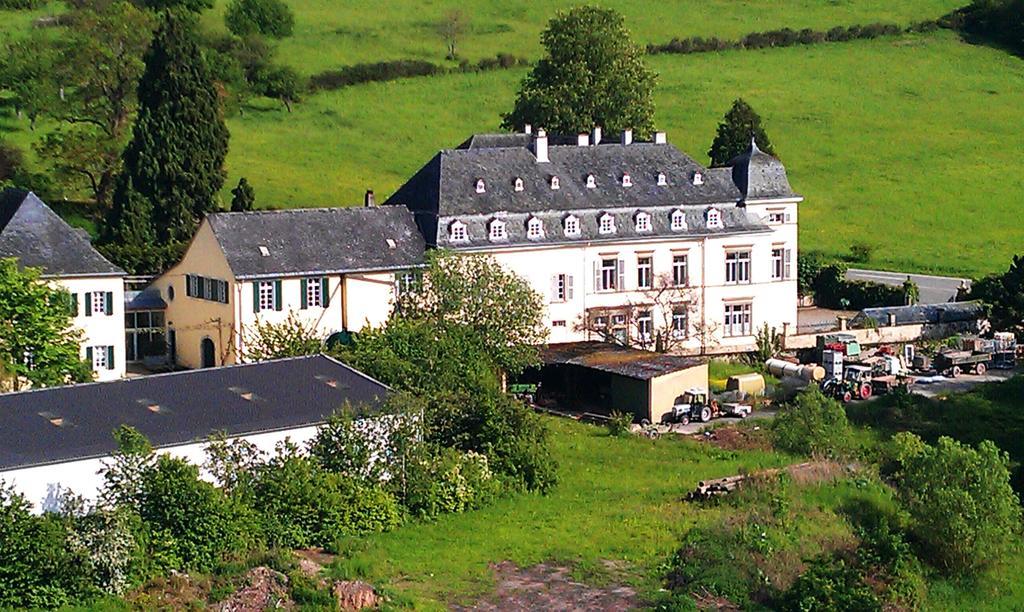 شقة Haus Sonnenschein Wiltingen المظهر الخارجي الصورة